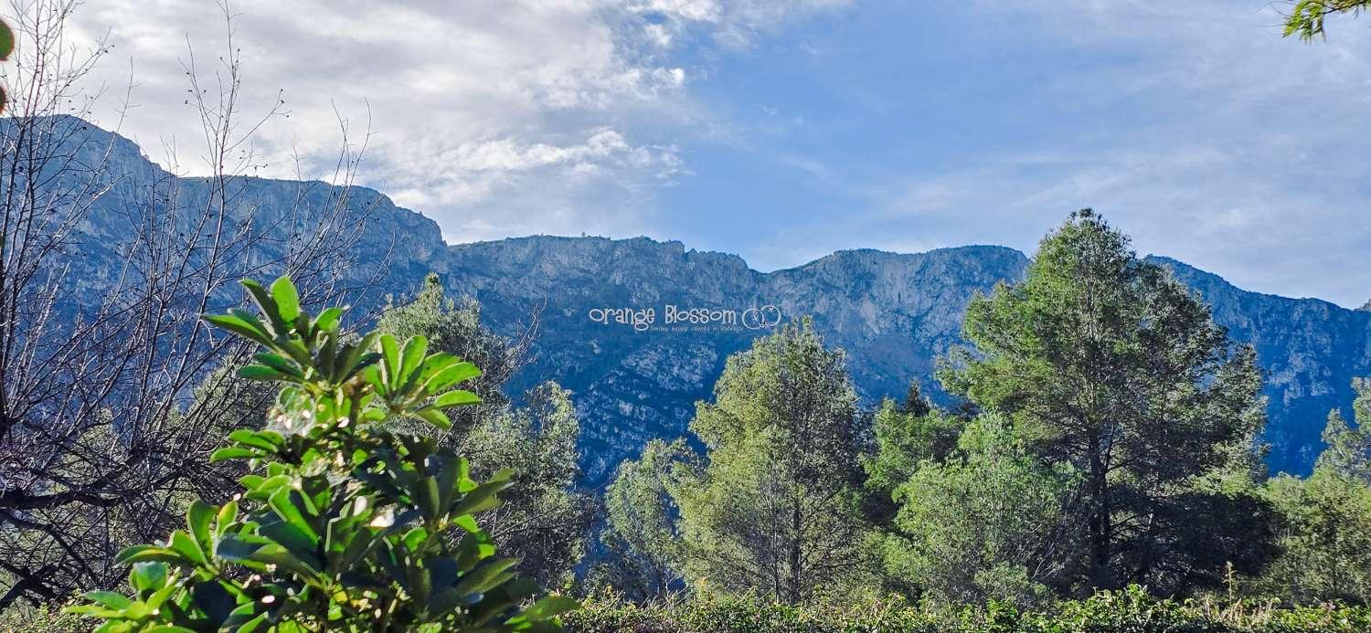 Villa for Sale in Villalonga