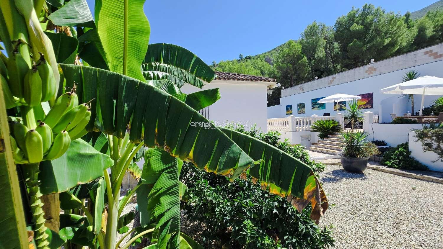 Villa for Sale in Villalonga