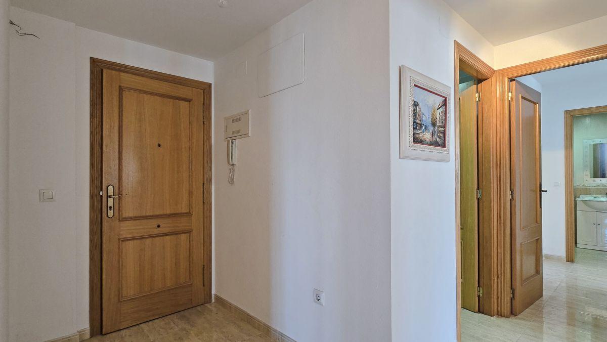 Penthouse for Sale in Ador