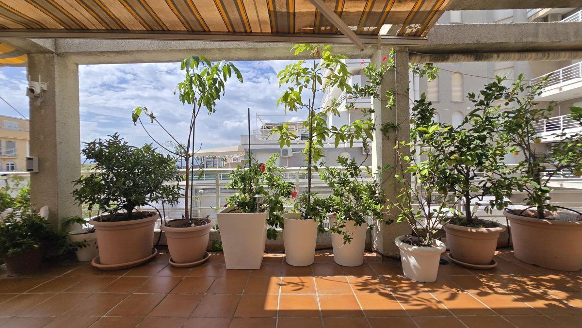 Apartamento en Venta en Gandia