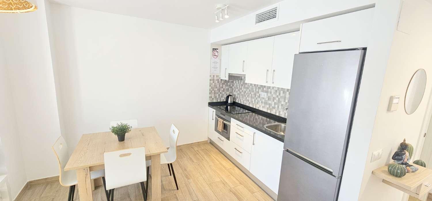Penthouse for Holiday Rental in Torre del Mar