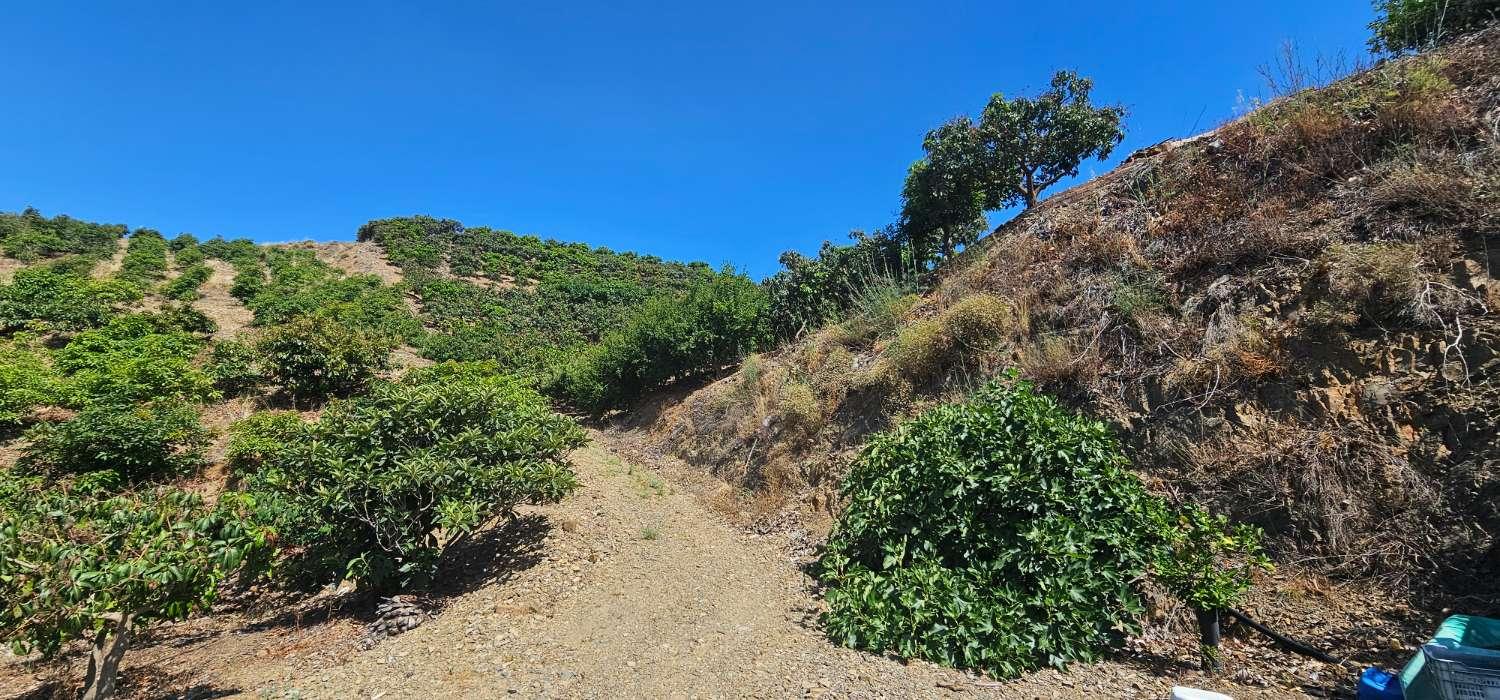 Finca en Venta en Vélez-Málaga