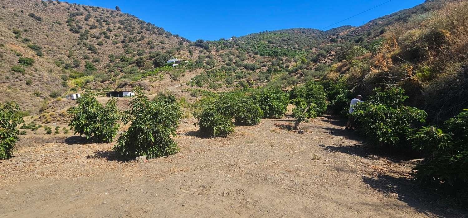 Finca en Venta en Vélez-Málaga