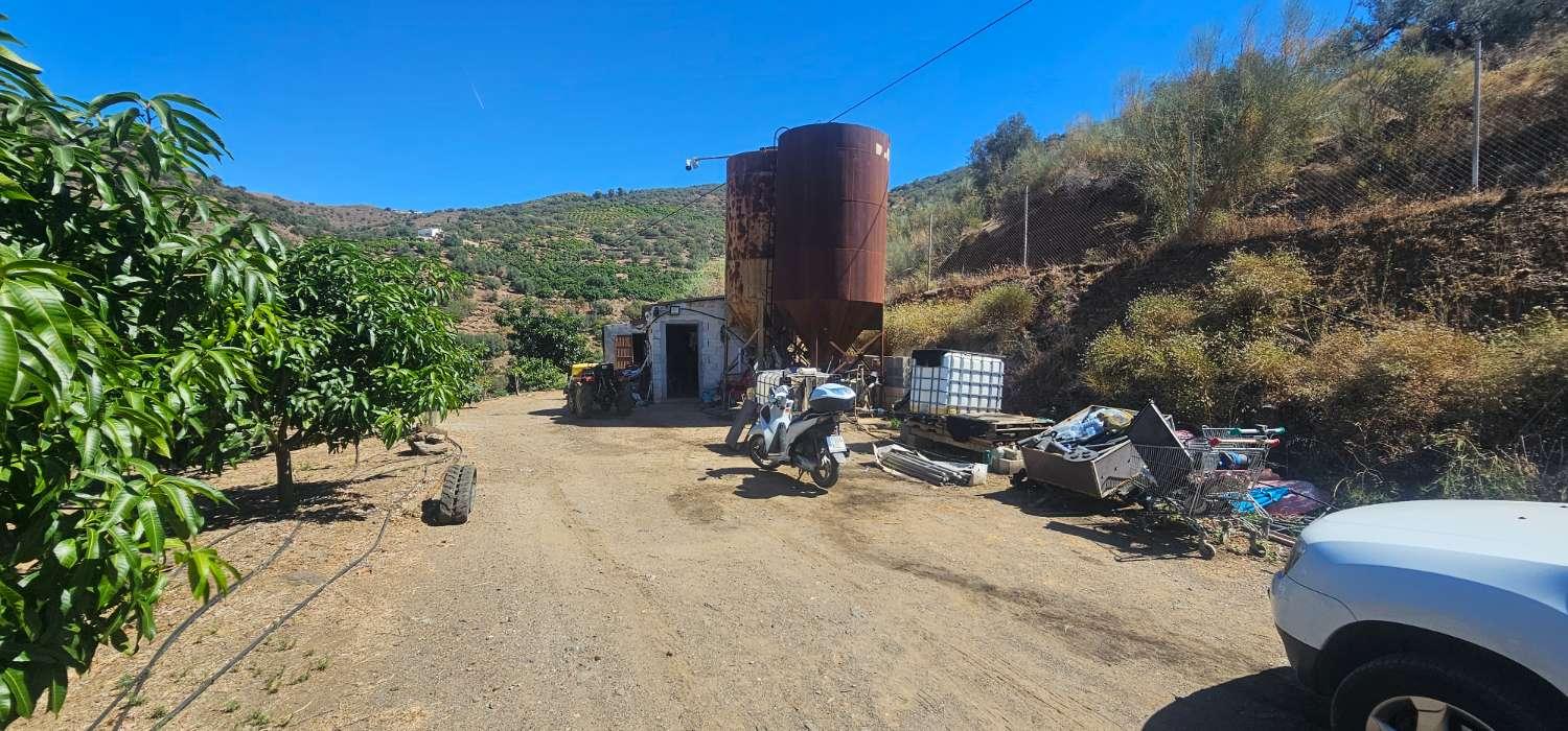 Finca en Venta en Vélez-Málaga