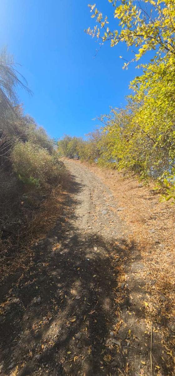 Finca en Venta en Vélez-Málaga