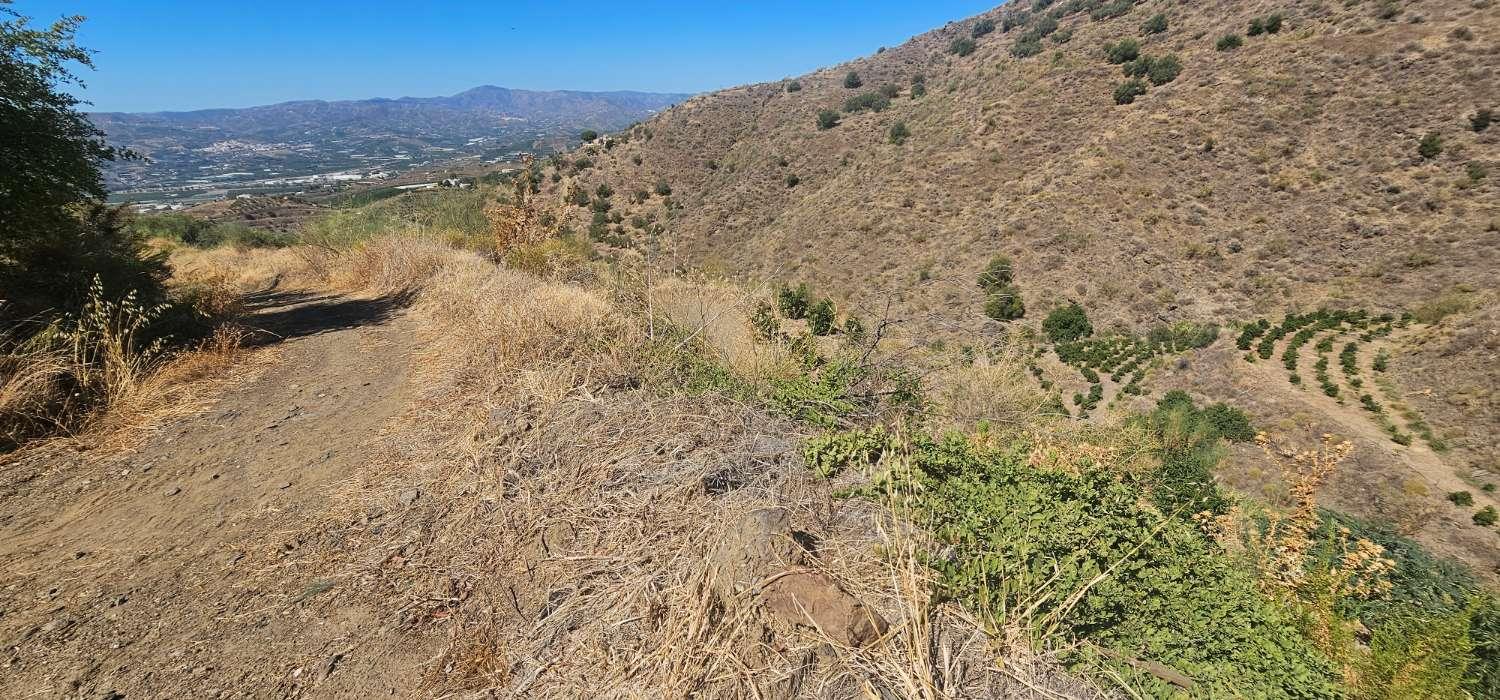 Finca en Venta en Vélez-Málaga