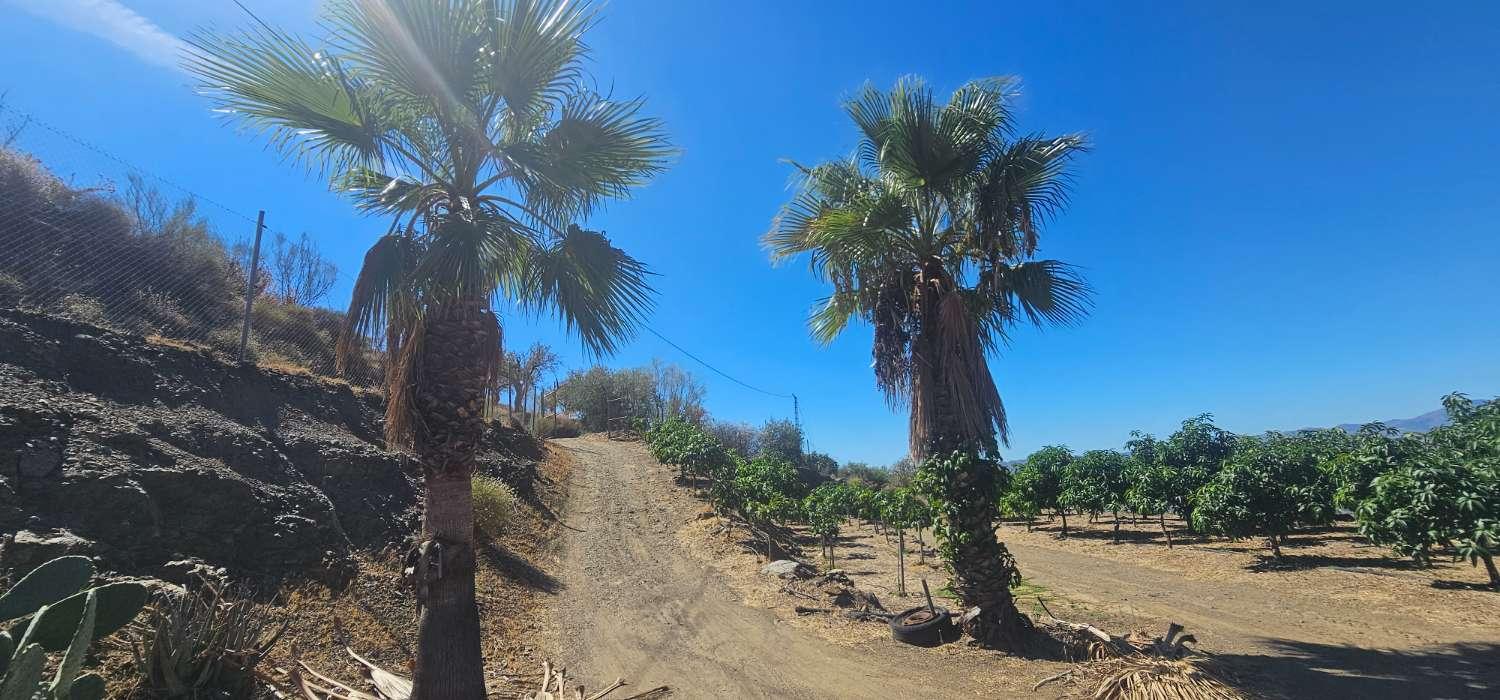 Finca en Venta en Vélez-Málaga