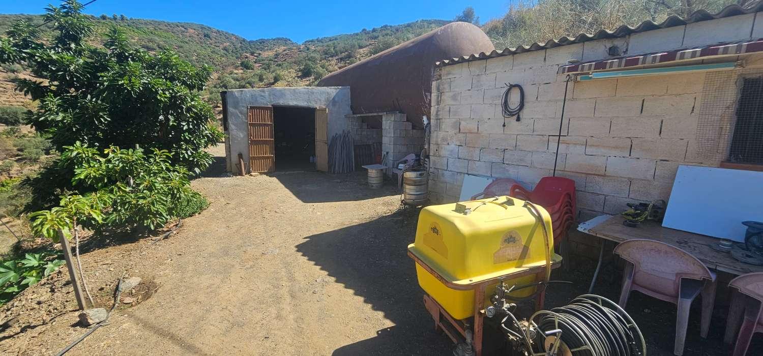 Finca en Venta en Vélez-Málaga