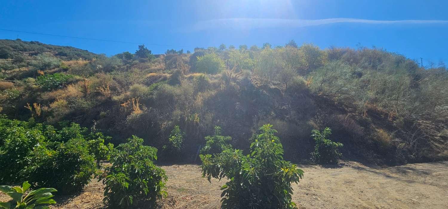 Finca en Venta en Vélez-Málaga