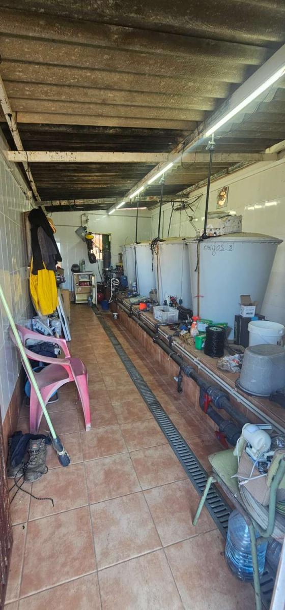 Finca en Venta en Vélez-Málaga