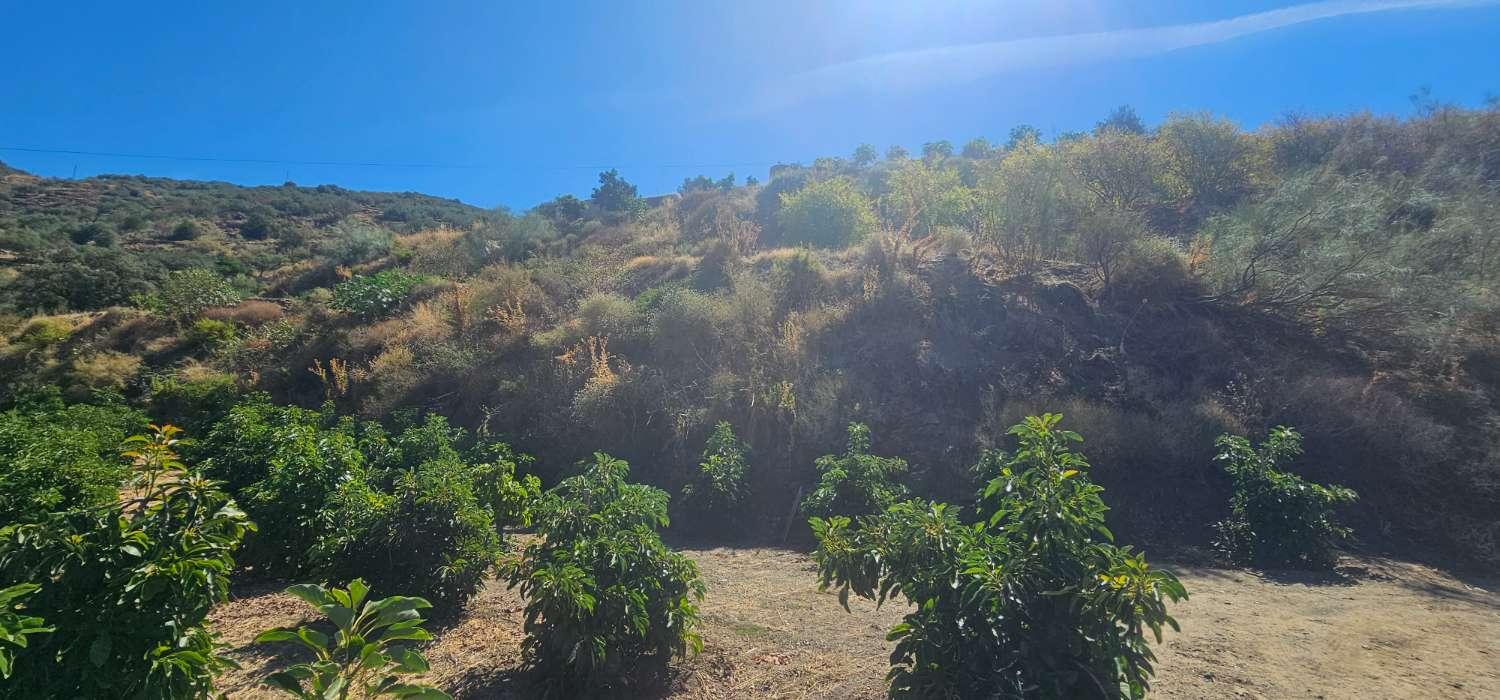 Finca en Venta en Vélez-Málaga