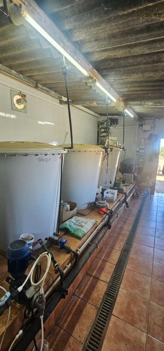 Finca en Venta en Vélez-Málaga