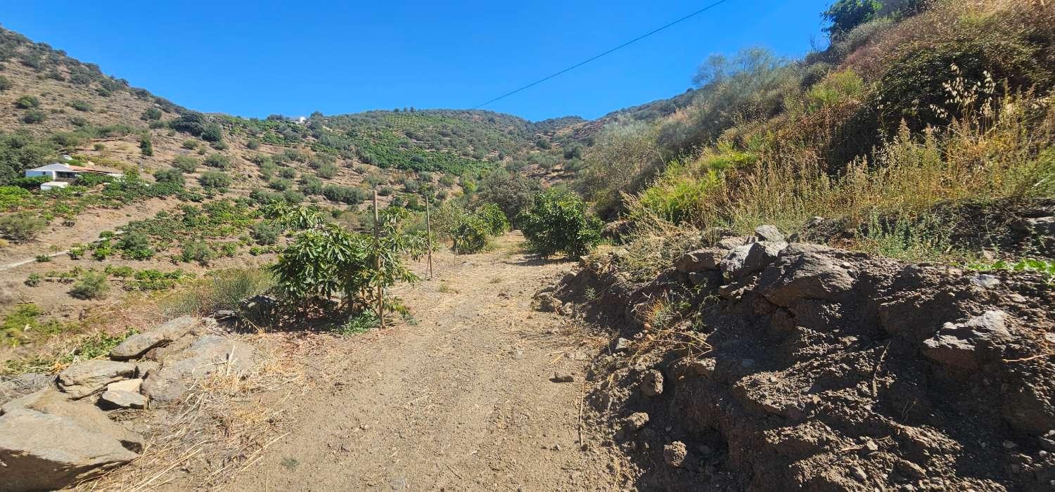 Finca en Venta en Vélez-Málaga