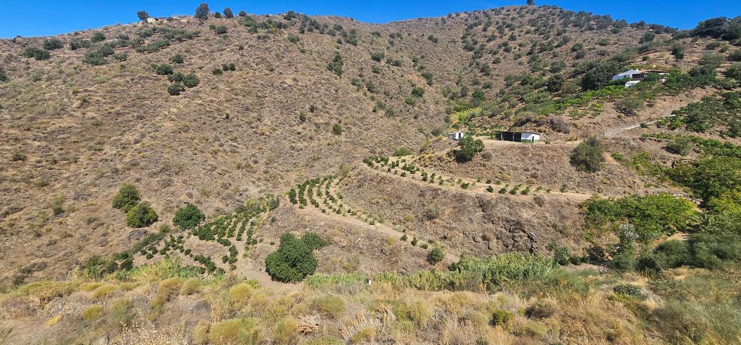 Finca en Venta en Vélez-Málaga