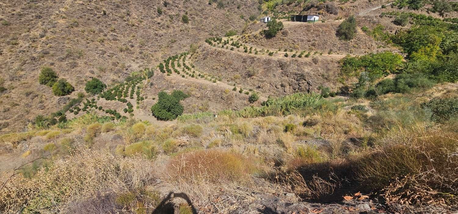 Finca en Venta en Vélez-Málaga