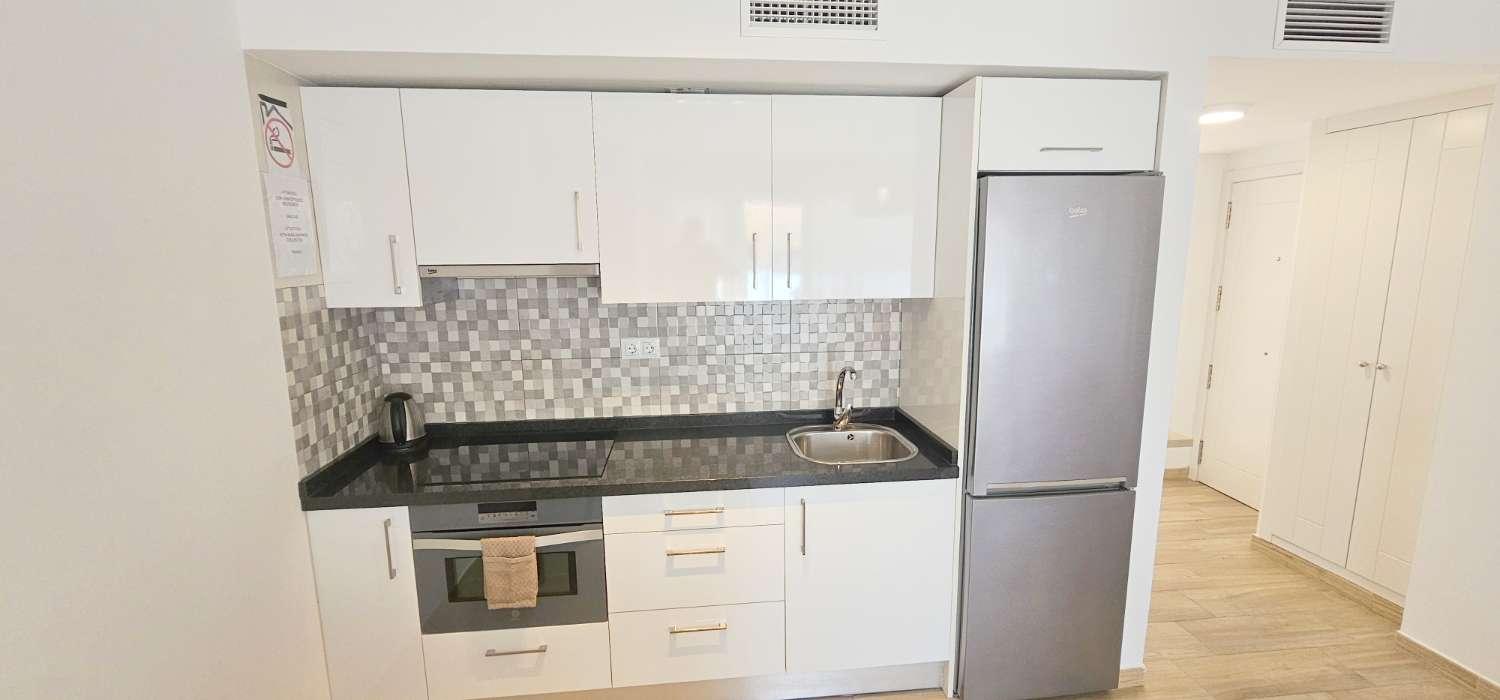 Penthouse for Rent in Torre del Mar