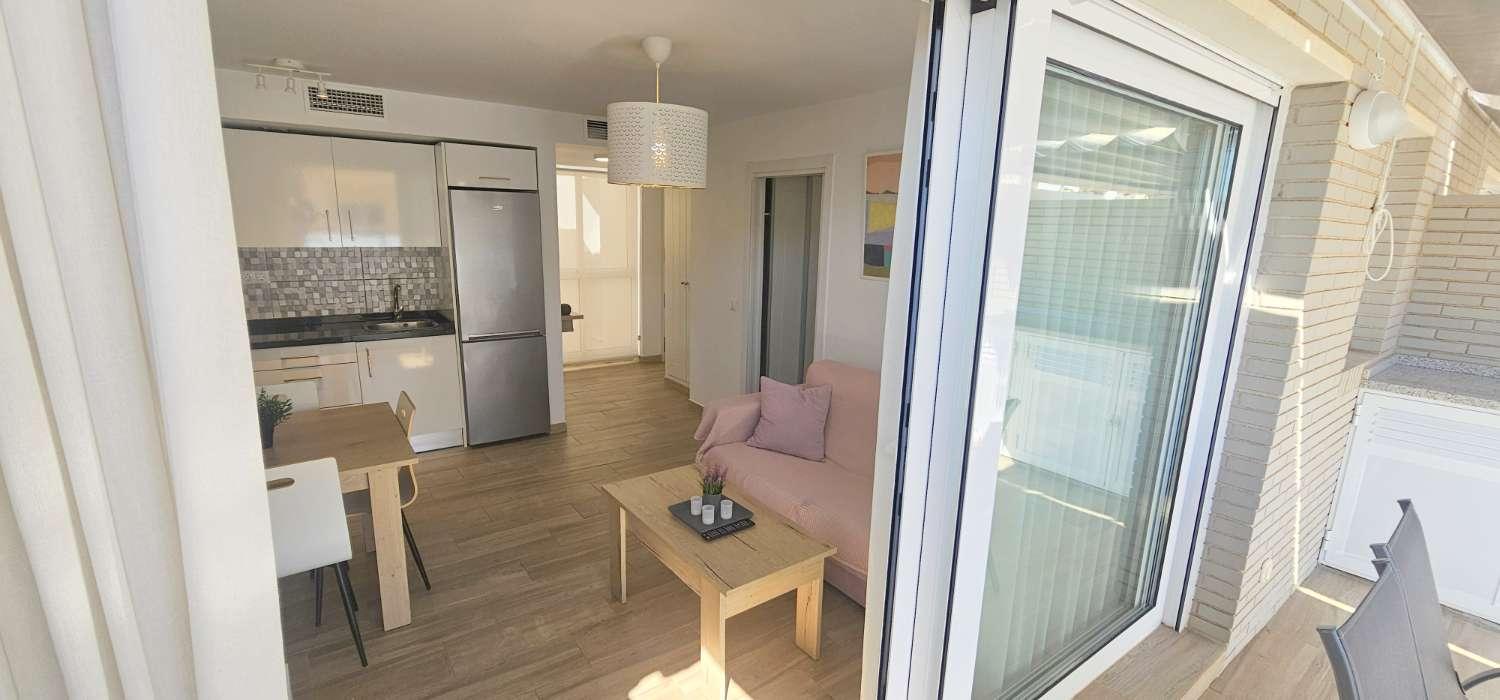 Penthouse for Rent in Torre del Mar
