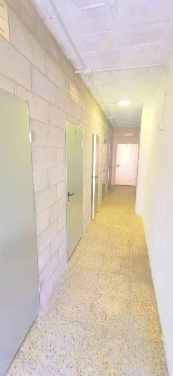 Property for Rent in Torre del Mar