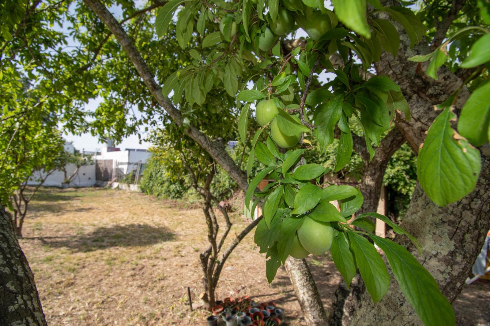 Casa en Venta en Chiclana de la Frontera
