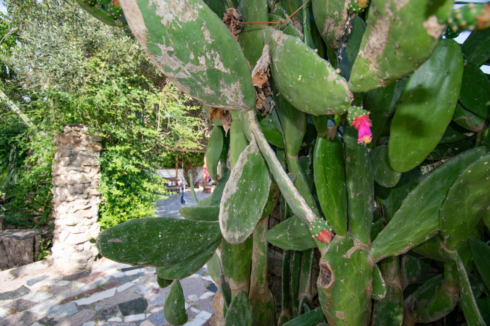 Casa en Venta en Chiclana de la Frontera