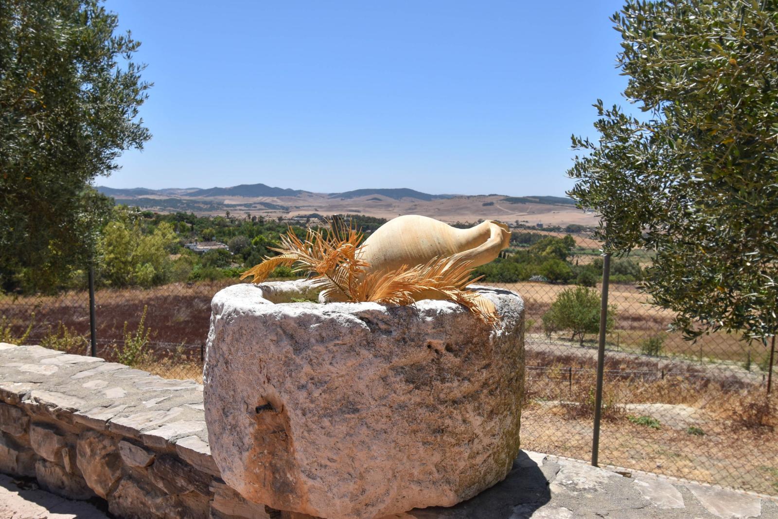 Finca en Venta en Medina-Sidonia