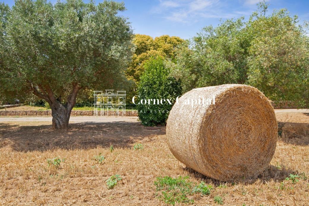 House for Sale in Forallac