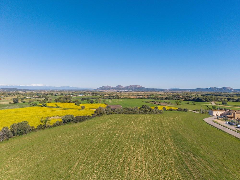 House for Sale in Pals