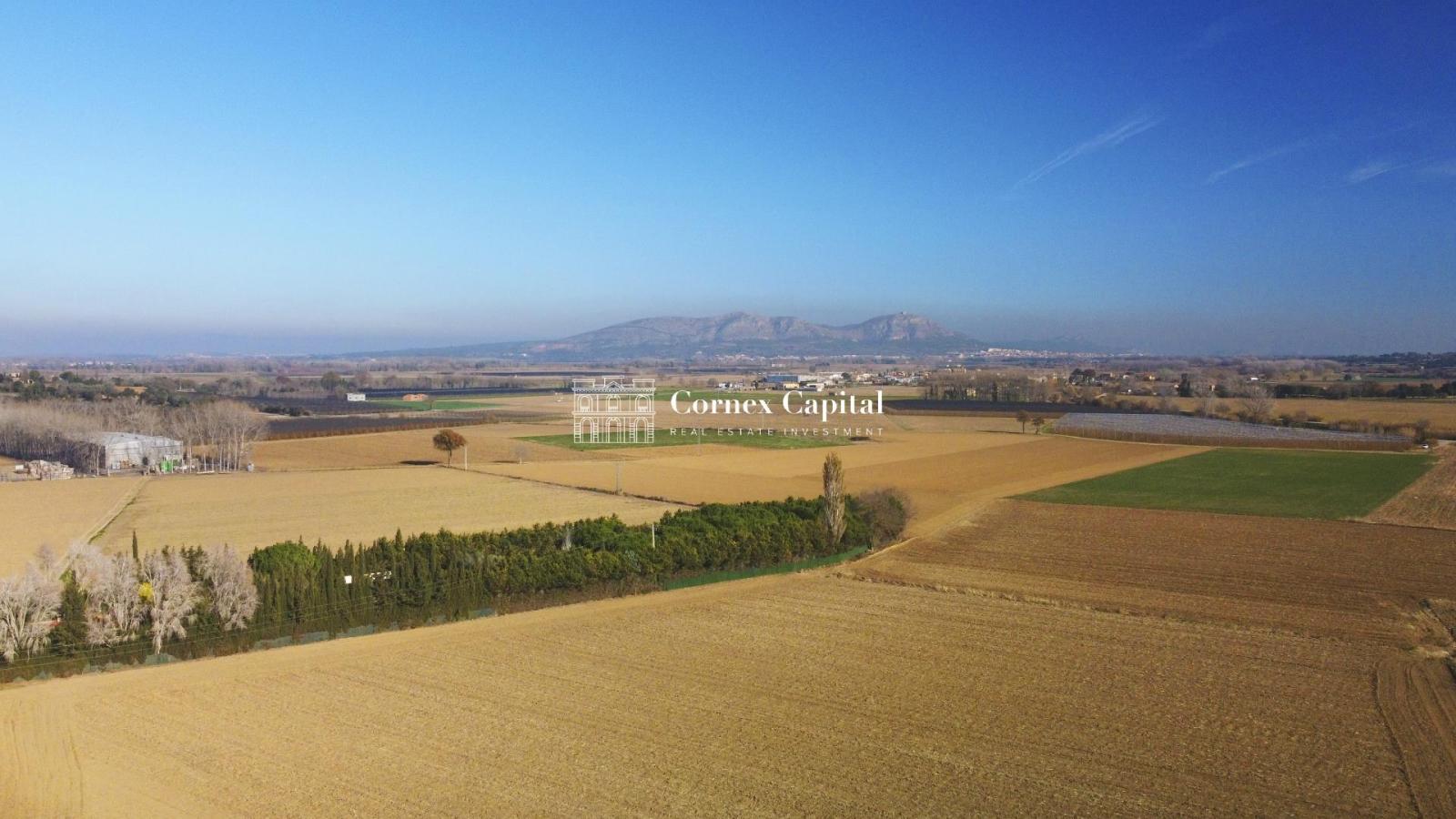 Premise for Sale in Parlavà