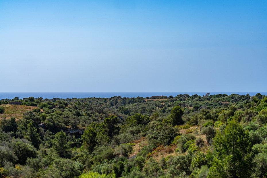 House for Sale in Manacor