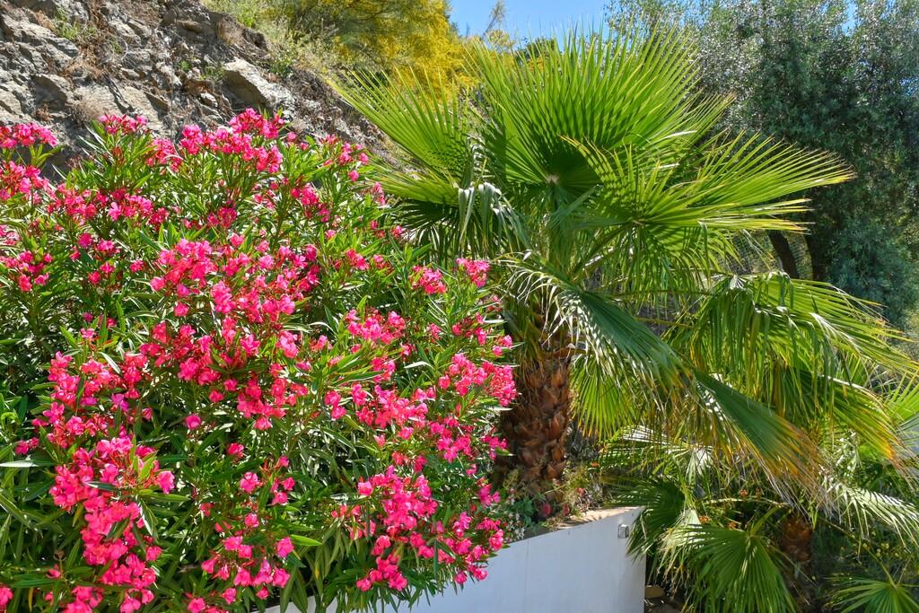 Casa en Venta en Arenas