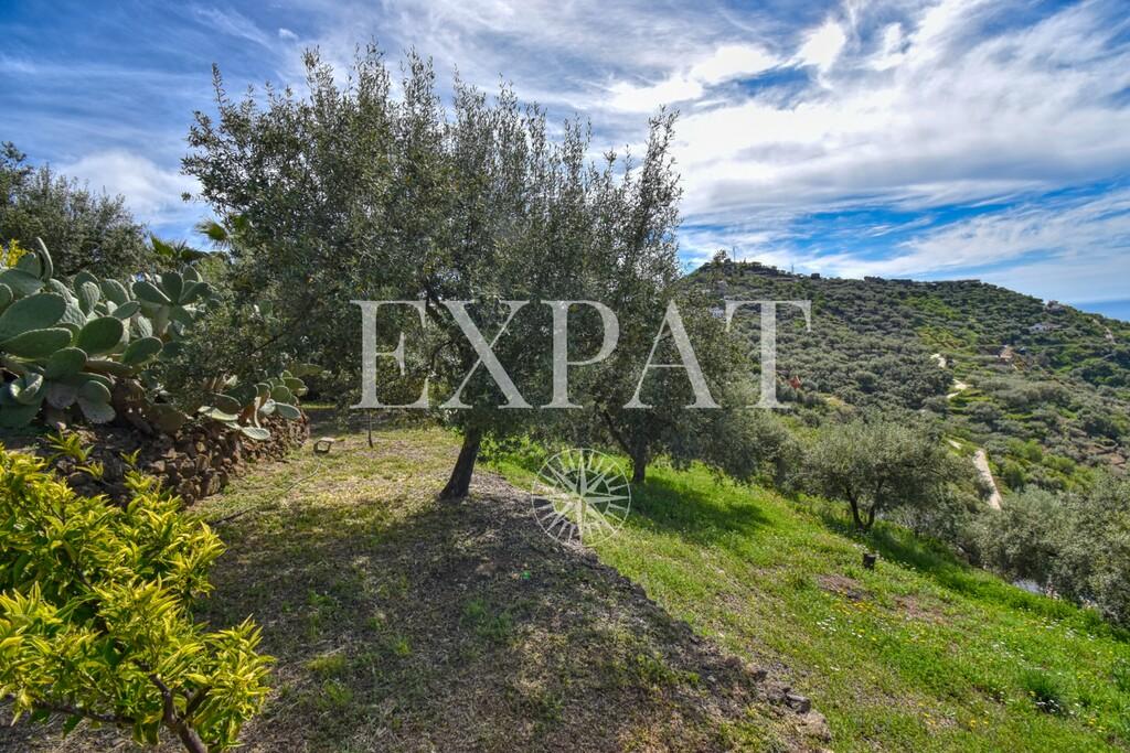House for Sale in Algarrobo