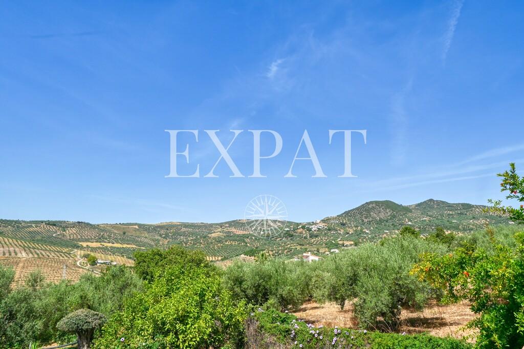 House for Sale in Periana