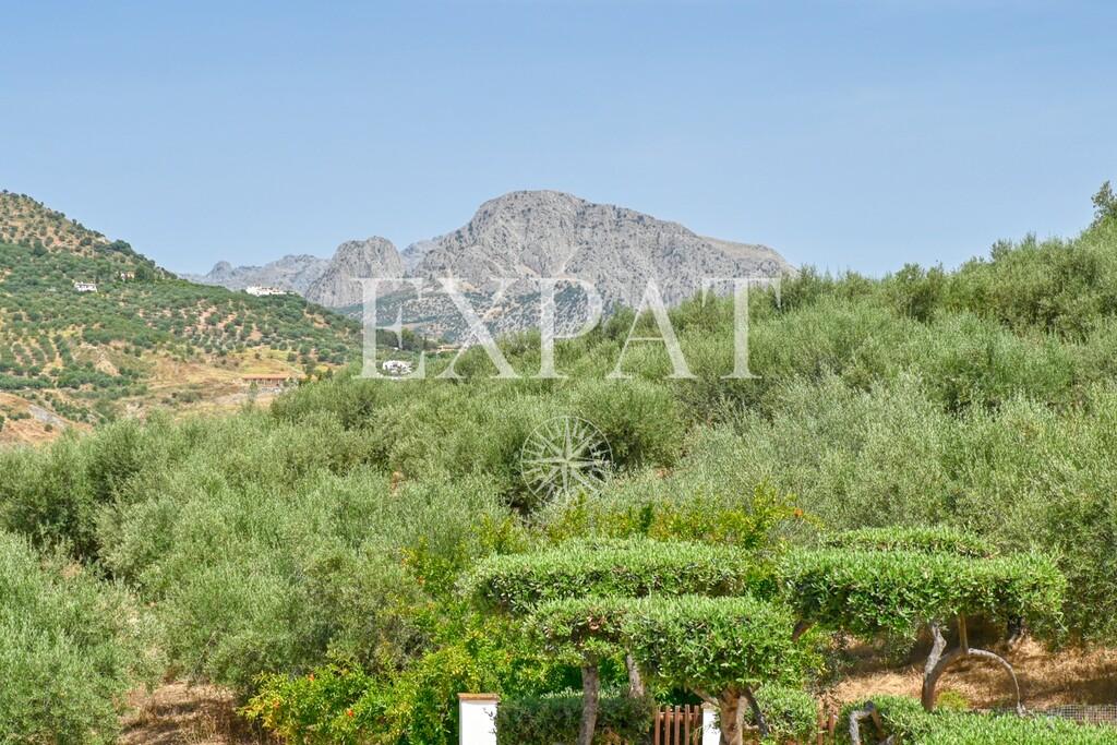 House for Sale in Periana
