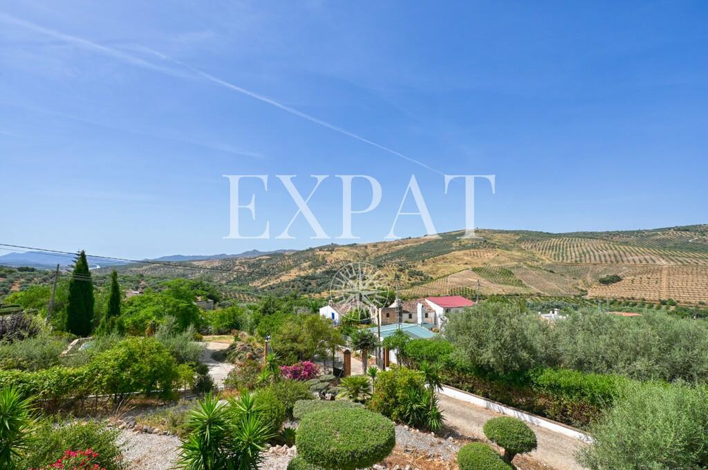 House for Sale in Periana