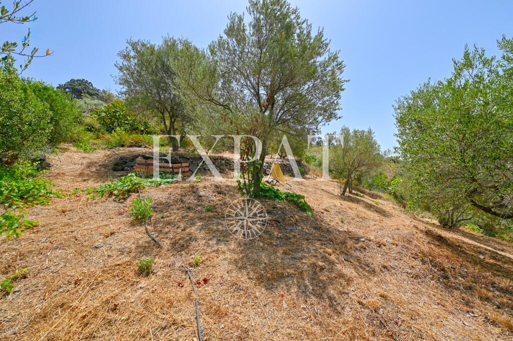 House for Sale in Cómpeta