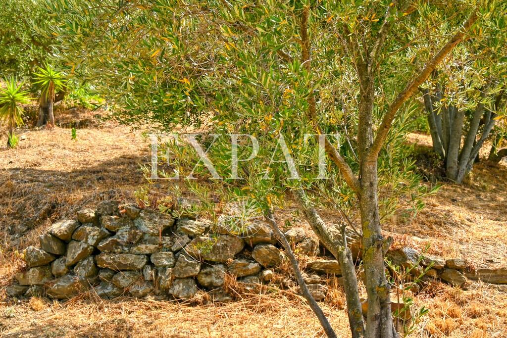 House for Sale in Cómpeta