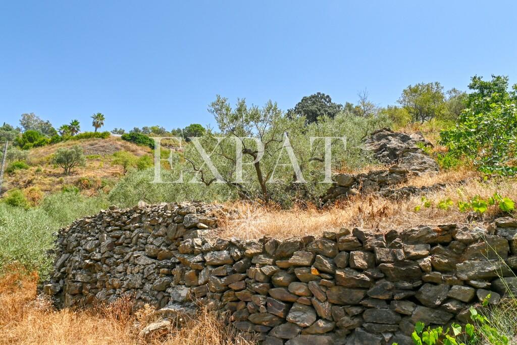 House for Sale in Cómpeta