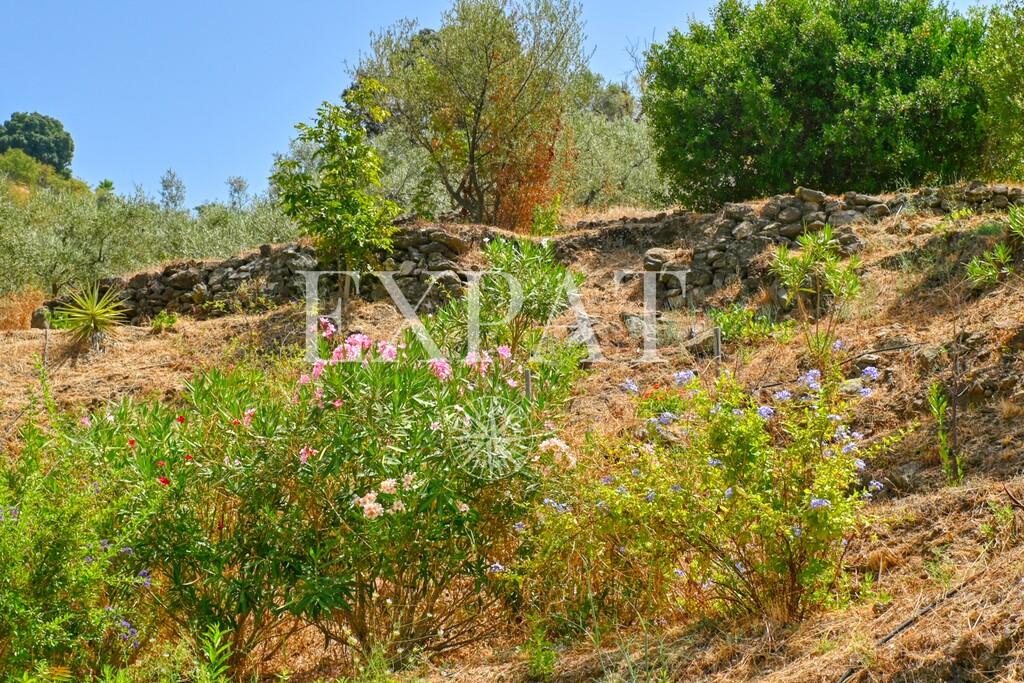 House for Sale in Cómpeta