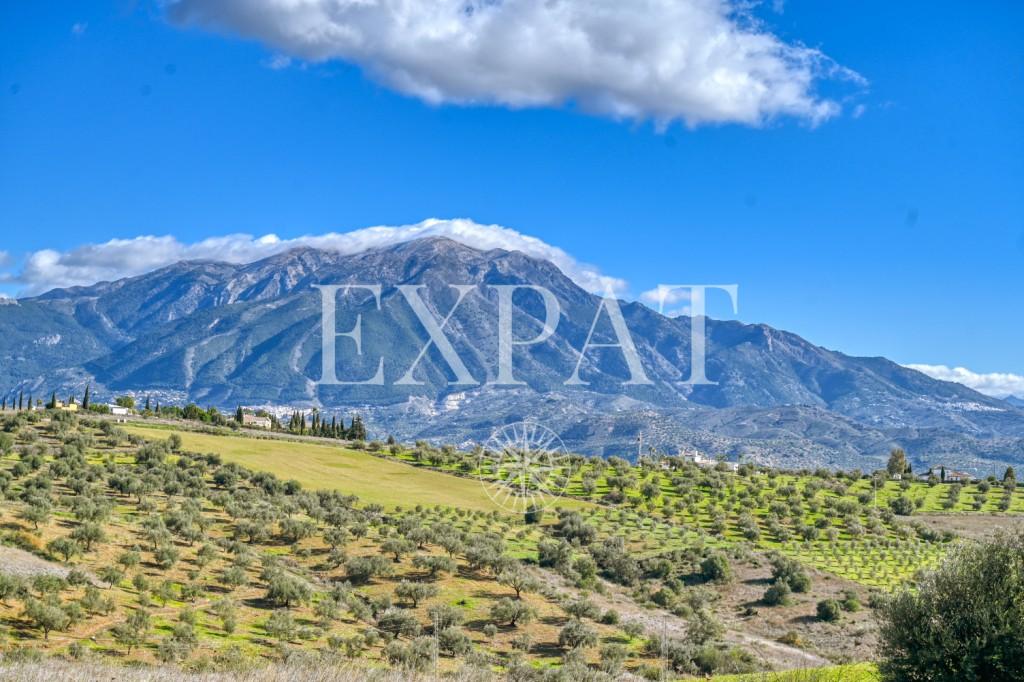 House for Sale in Viñuela