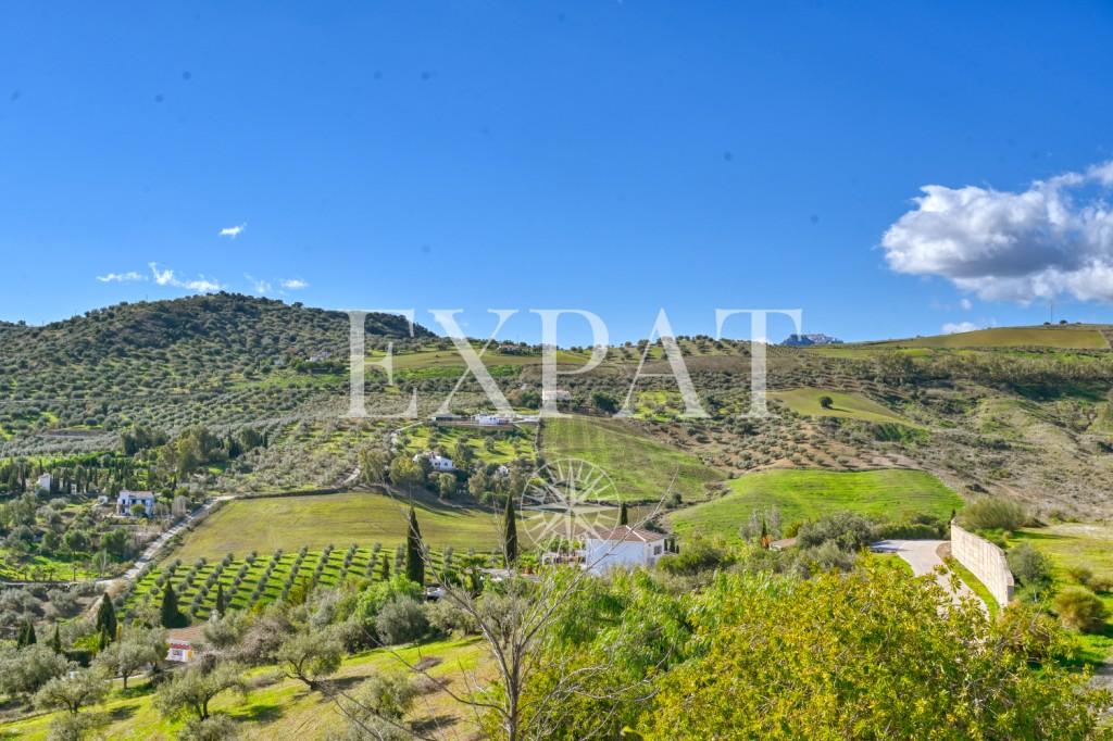 House for Sale in Viñuela