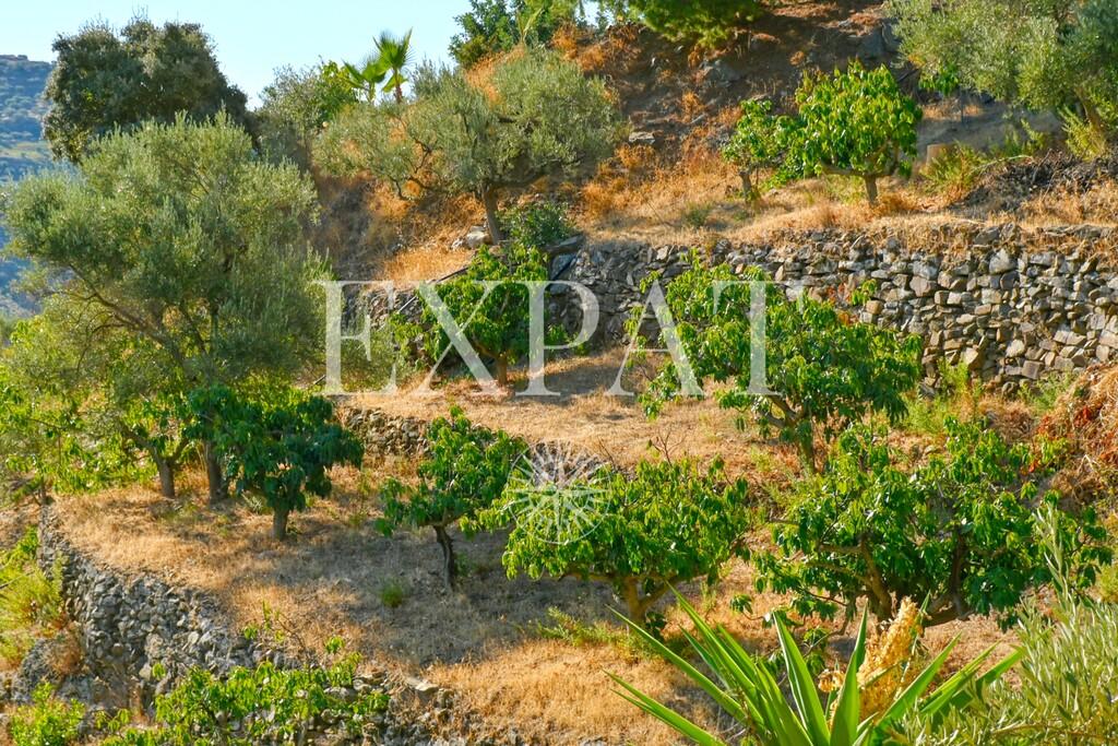House for Sale in Cómpeta