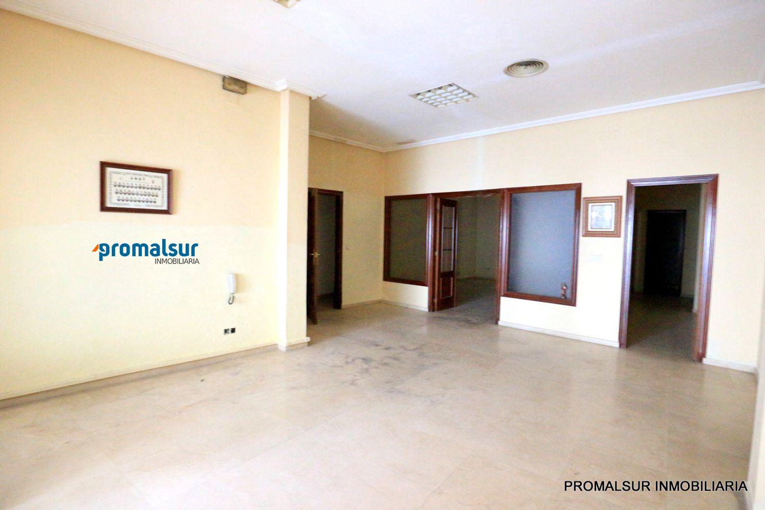 Premise for Rent in Puente Genil