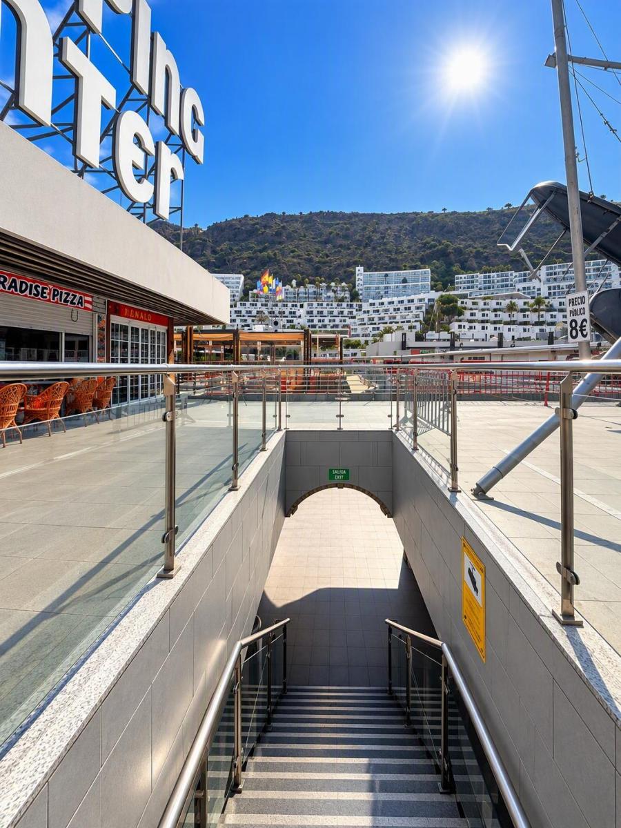 Premise for Sale in Mogán