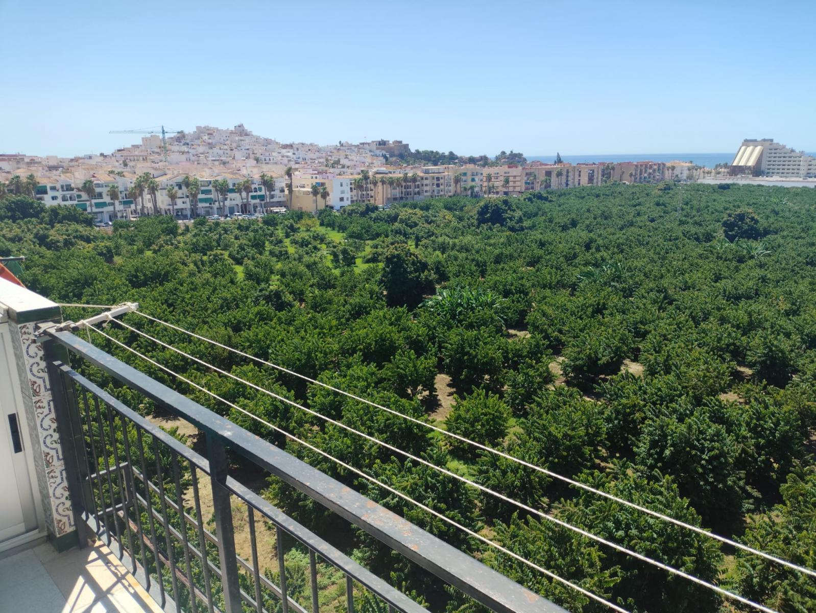 Flat for Rent in Almuñécar