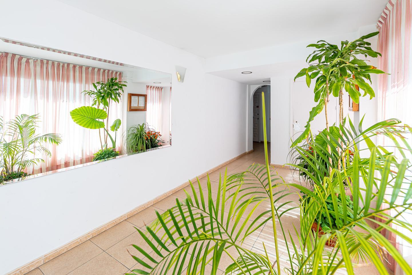 Studio for Rent in Benalmádena