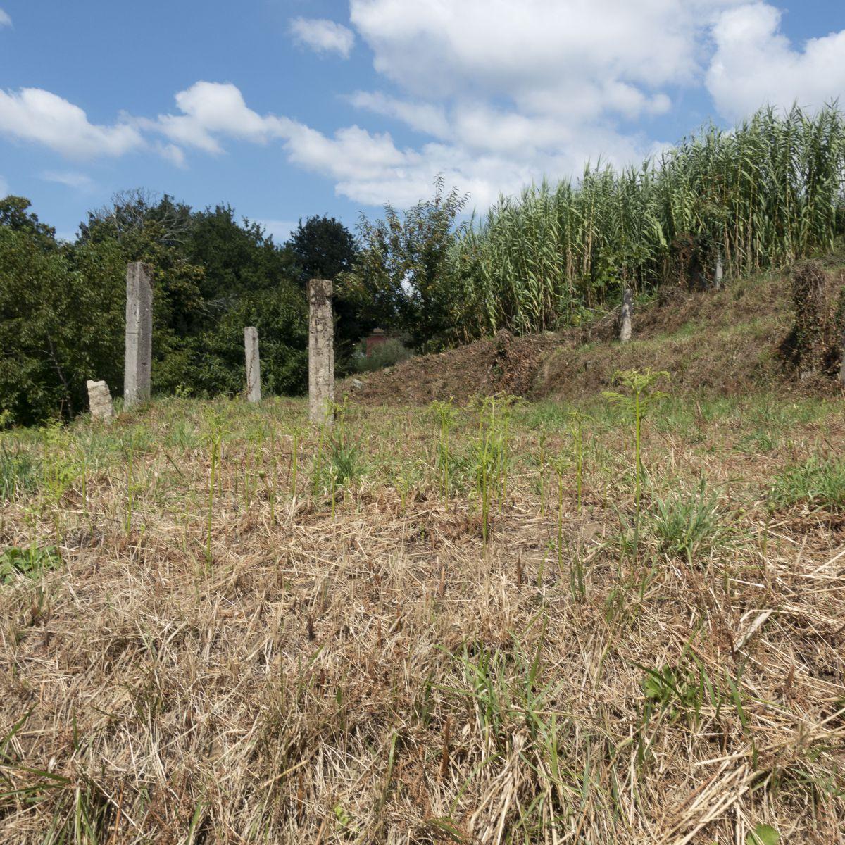 Building Site for Sale in Mos