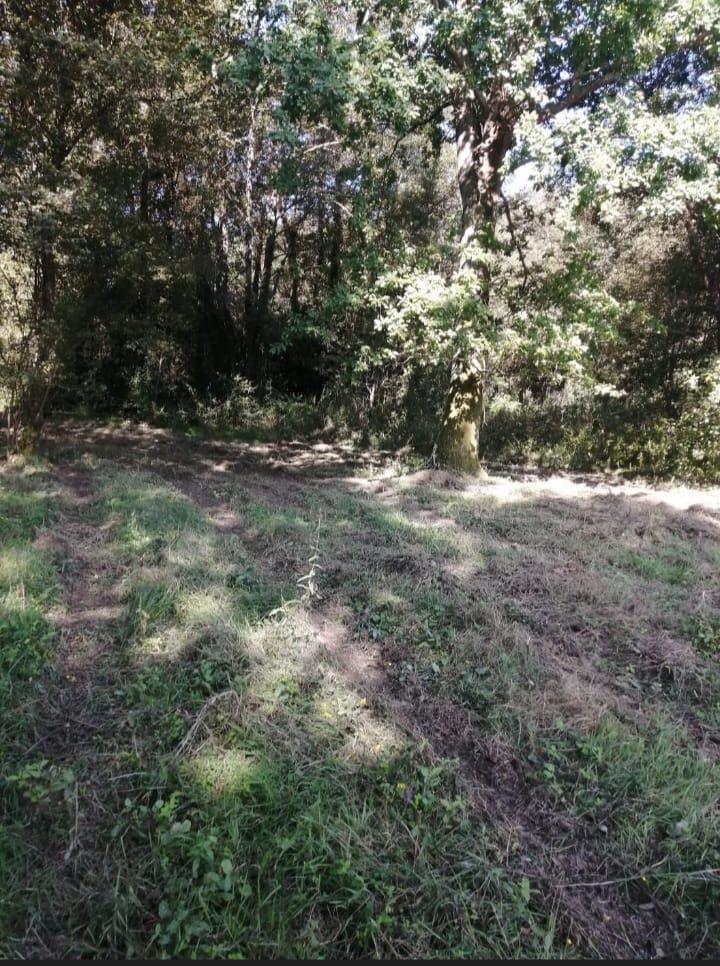 Building Site for Sale in Porriño, O