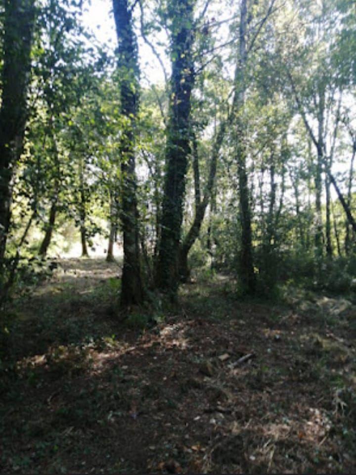 Building Site for Sale in Porriño, O