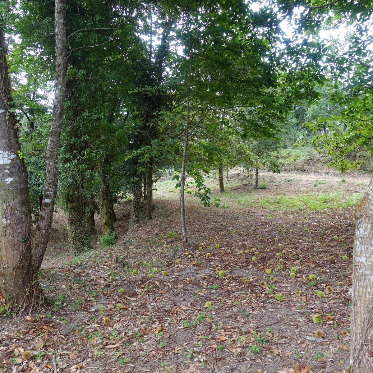 Finca en Venta en Gondomar