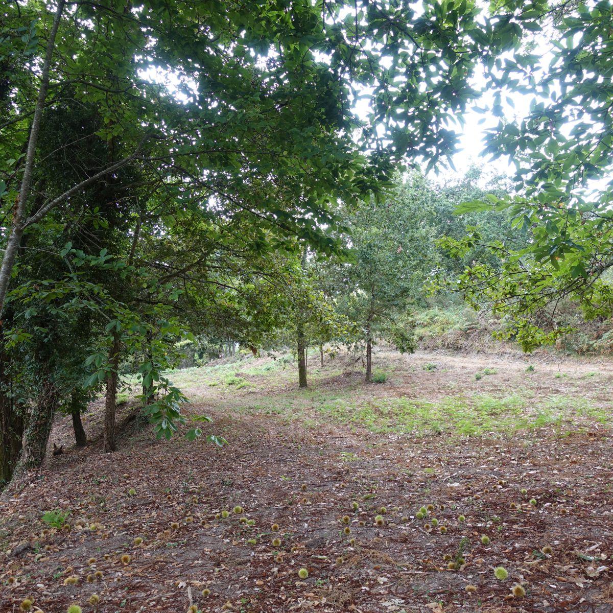 Finca en Venta en Gondomar